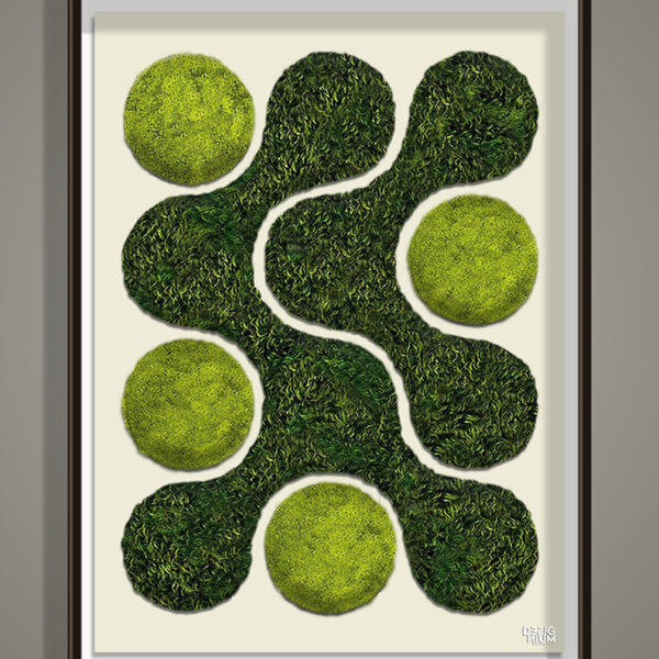 CUADRO MUSGO PELOTAS CUADRO MUSGO PELOTAS