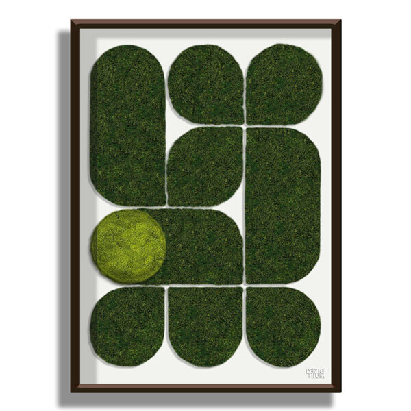 CUADRO MUSGO bola verde CUADRO MUSGO bola verde